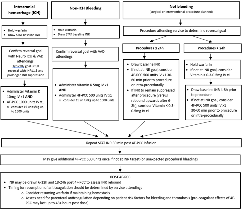 Stroke warfarin reversal pathway.png